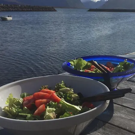 Lofoten - Edvardbua Kvalnes (Vestvagoy)