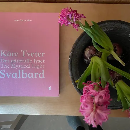 Edvardbua * Kvalnes (Vestvagoy)